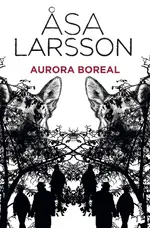 Aurora boreal