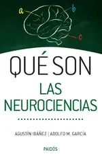 Qué son las neurociencias