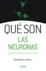 Qué son las neuronas