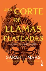Una corte de llamas plateadas