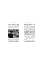Manifiesto para los héroes de cada día
