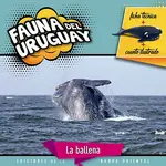 Fauna del Uruguay: Ballena