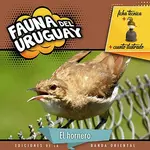 Fauna del Uruguay hornero